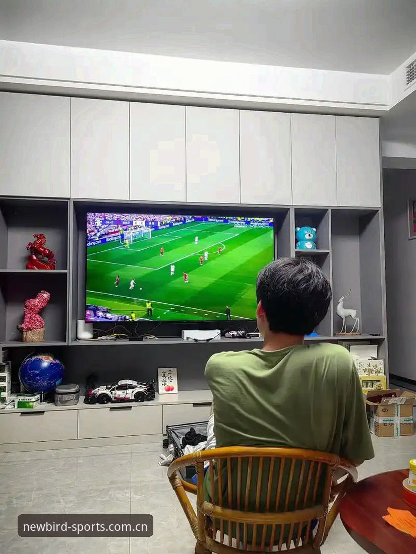 老球迷熬夜看球遇上雷暴中断，我用APP刷完了这场跨4小时的法伊之战